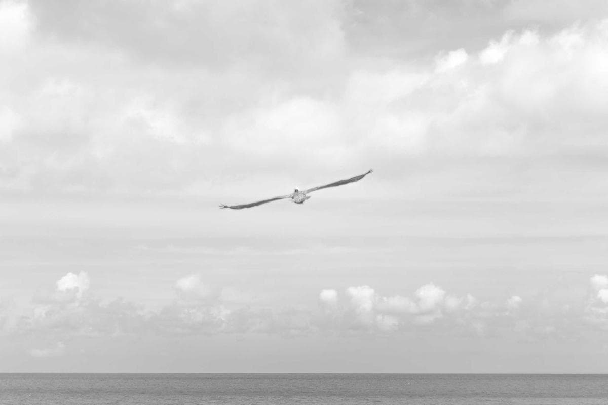 Ingénierie qualité de l'air
